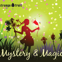 Mystery and Magic