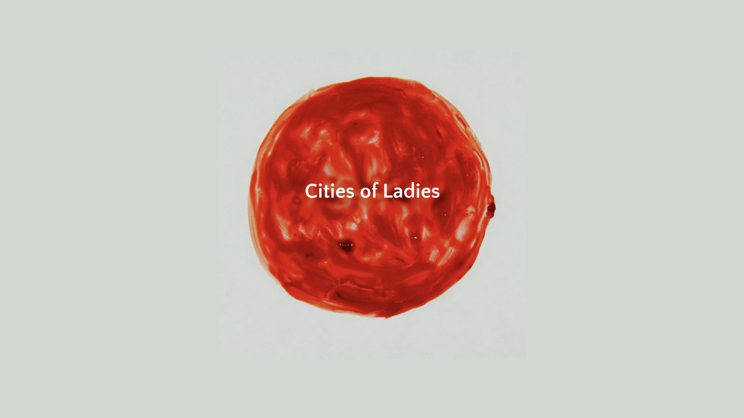 Cities of Ladies- wins Best Poetic Documentary animation at New Yorks NIL Gallery